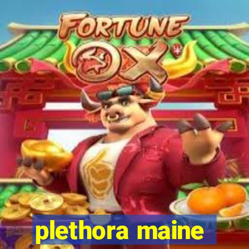 plethora maine